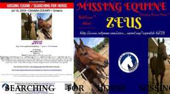 SEARCHING FOR HORSE MISSING EQUINE Zeus`s Hall,  Near Tottenham, Ontario, L0G 1W0